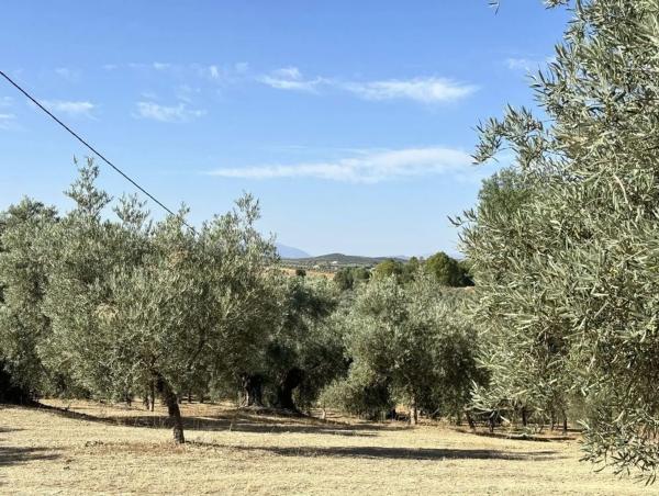 Terreno en Polígono