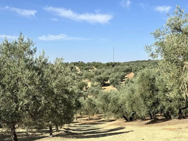 Terreno en Polígono