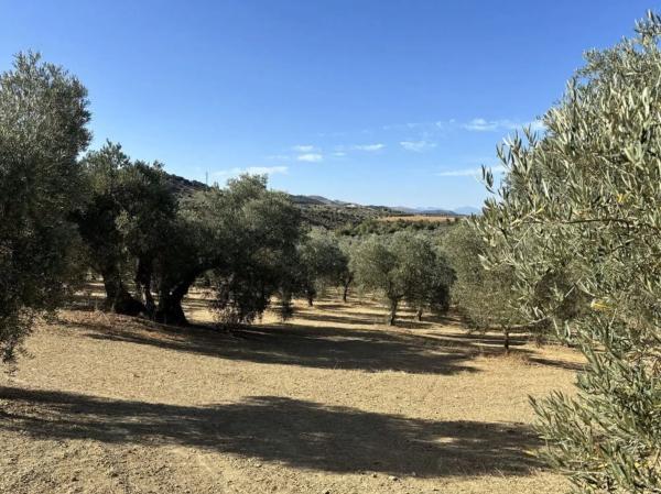 Terreno en Polígono