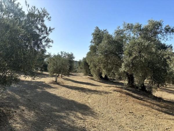 Terreno en Polígono