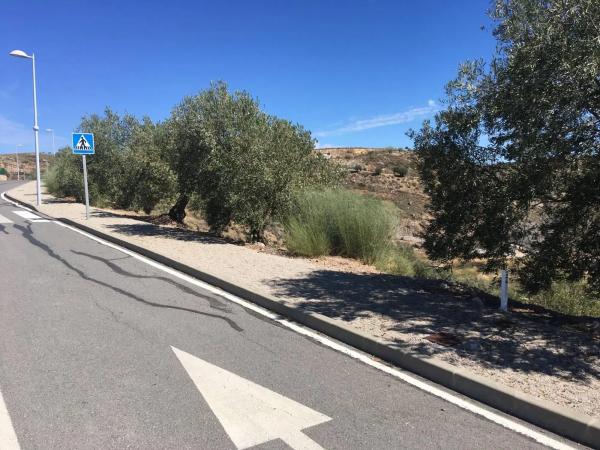 Terreno en Diseminado 257