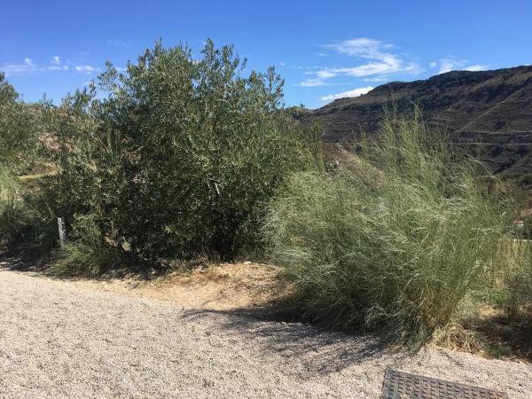 Terreno en Diseminado 257