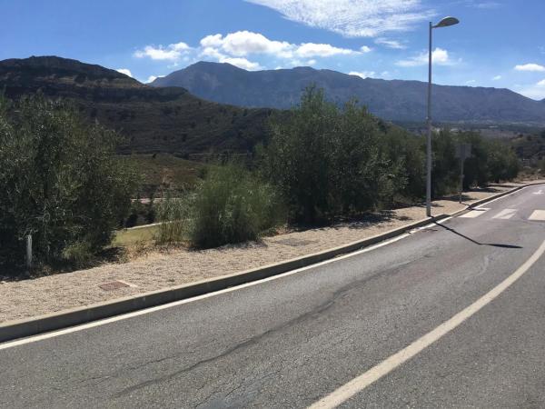 Terreno en Diseminado 257