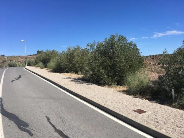 Terreno en Diseminado 257