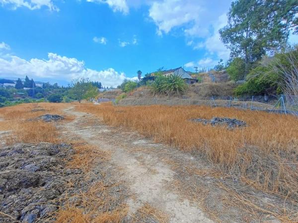 Terreno en Partido el Egido s/n