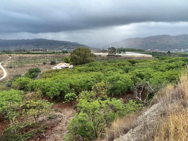 Terreno en cabrillas s/n