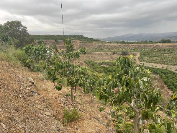 Terreno en cabrillas s/n