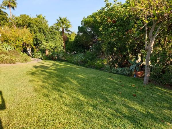 Terreno en avenida los Pinos s/n