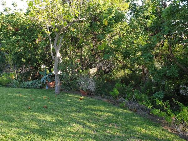 Terreno en avenida los Pinos s/n