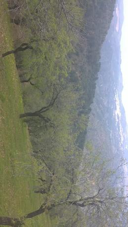 Terreno en Paraje Aguilera s/n