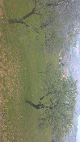 Terreno en Paraje Aguilera s/n