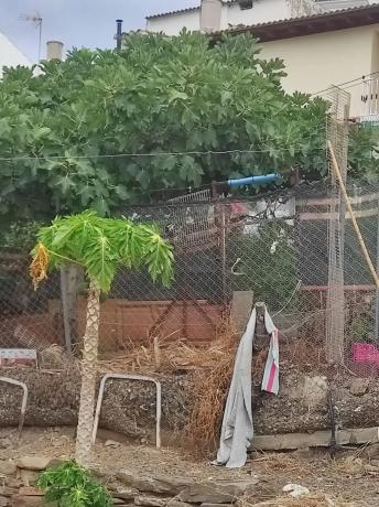 Terreno en calle Salvador Rueda, 4