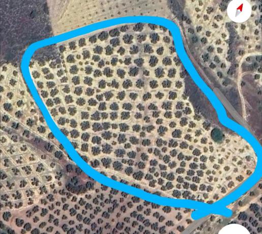 Terreno en A-343, km 13