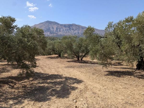 Terreno en A-343, km 13