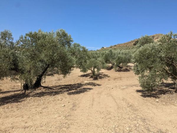 Terreno en A-343, km 13