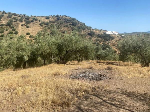 Terreno en camino de Magiaza, 14 Polgonoindustrialparcela