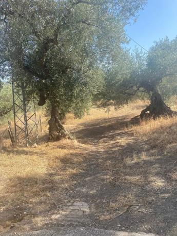 Terreno en camino de Magiaza, 14 Polgonoindustrialparcela