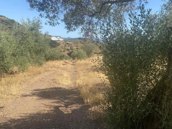 Terreno en camino de Magiaza, 14 Polgonoindustrialparcela
