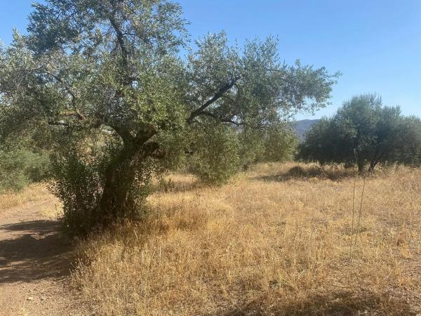Terreno en camino de Magiaza, 14 Polgonoindustrialparcela