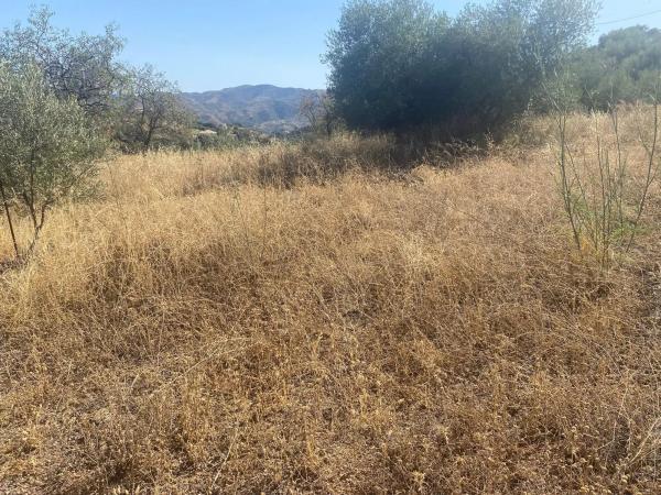 Terreno en camino de Magiaza, 14 Polgonoindustrialparcela