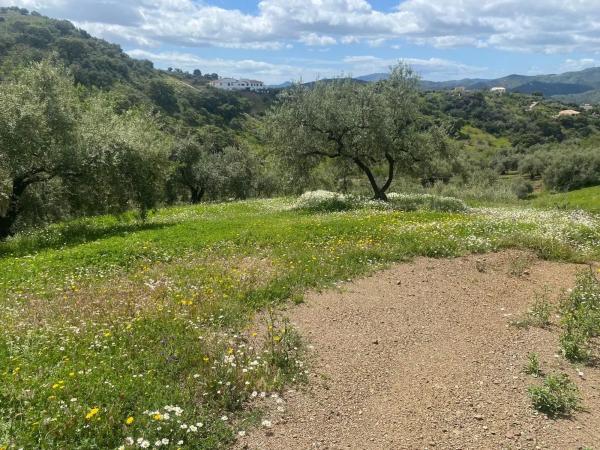 Terreno en camino de Magiaza, 14 Polgonoindustrialparcela