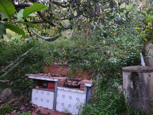 Terreno en Diseminado Diseminados