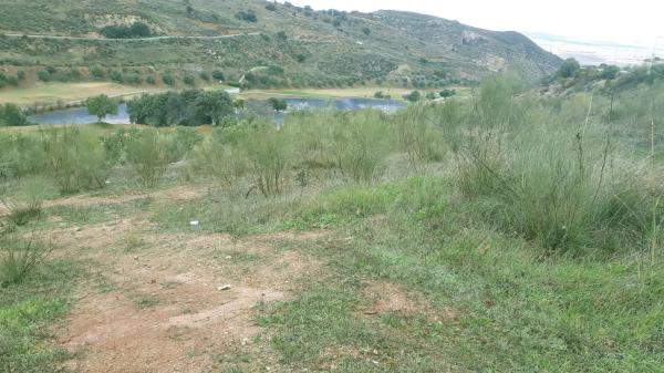 Terreno en Arrabal Urb Antequera Golf, 257