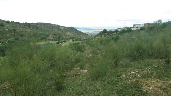 Terreno en Arrabal Urb Antequera Golf, 257