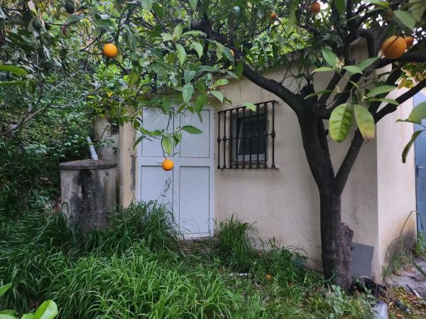 Terreno en Diseminado Diseminados