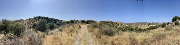 Terreno en Barrio Hipódromo-Cerrado del Águila