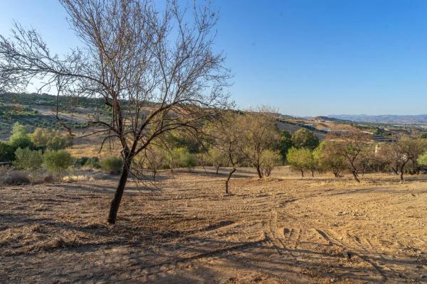 Terreno en Capellanía - Retamar