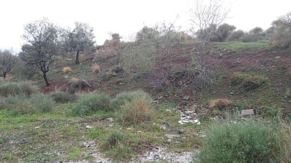 Terreno en calle Estados Unidos