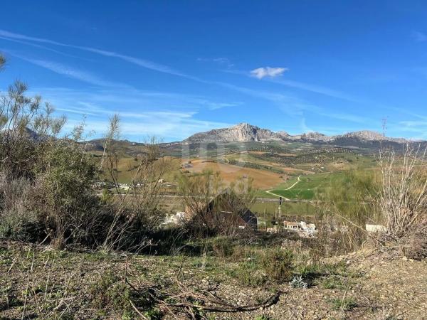 Terreno en calle Porton