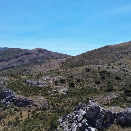 Terreno en ronda s/n