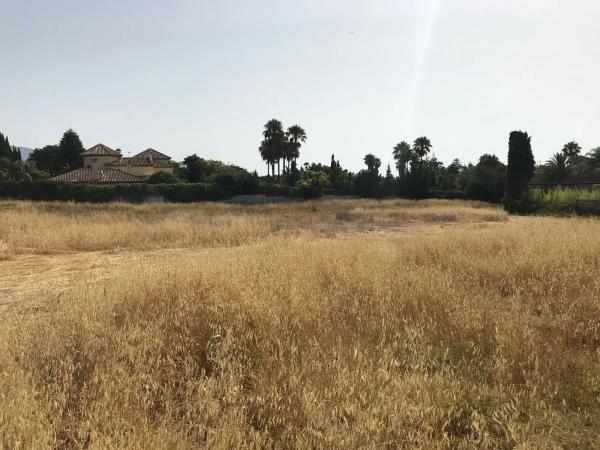 Terreno en Guadalmina Baja s/n