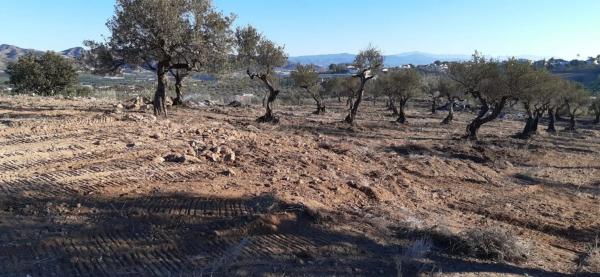 Terreno en carretera Málaga, km 15