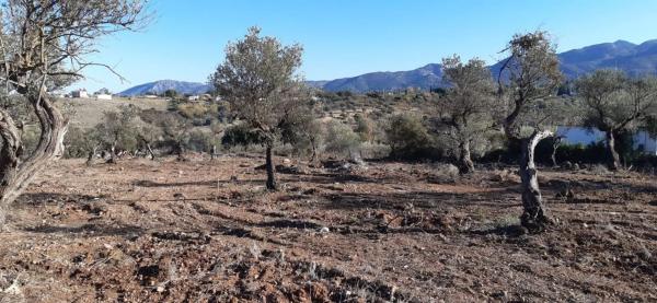 Terreno en carretera Málaga, km 15