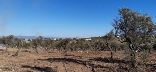 Terreno en carretera Málaga, km 15