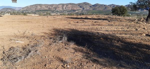 Terreno en carretera Málaga, km 15