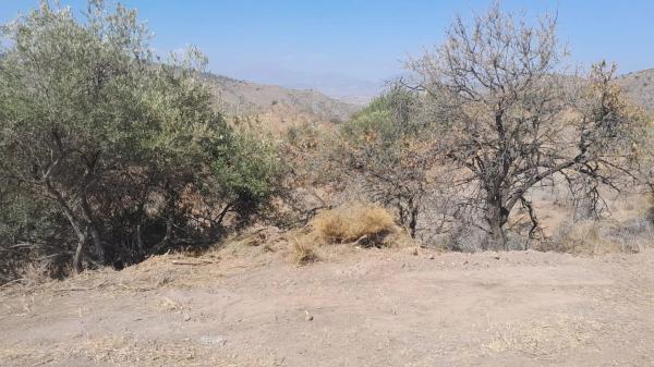 Terreno en Diseminado Poligono 8