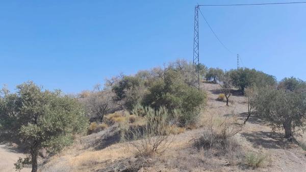 Terreno en Diseminado Poligono 8