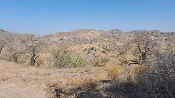 Terreno en Diseminado Poligono 8