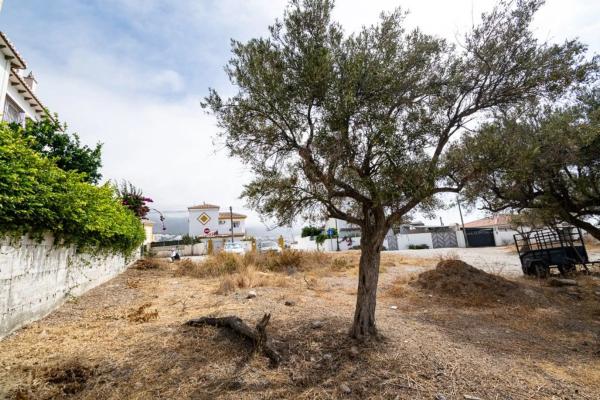 Terreno en Avda Pescia - Ctra de Frigiliana