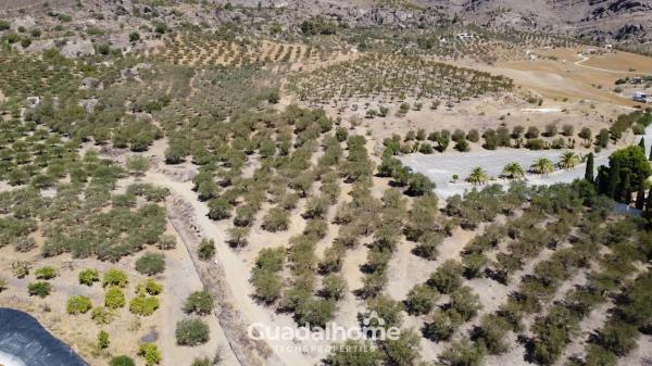 Terreno en Diseminado Poligono 18, 8