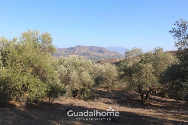 Terreno en Diseminado Poligono 18, 8