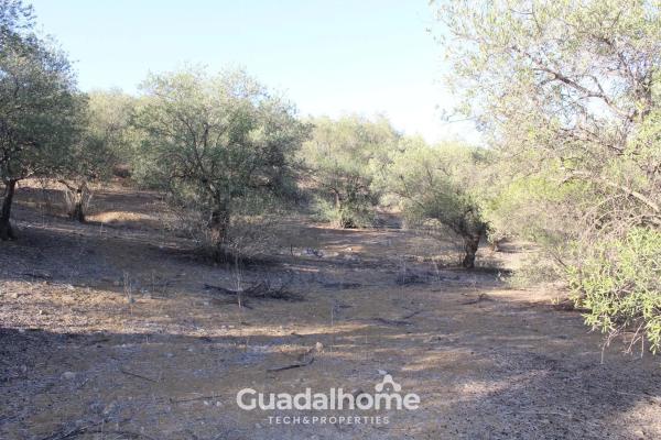 Terreno en Diseminado Poligono 18, 8