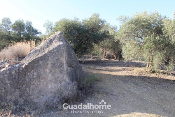 Terreno en Diseminado Poligono 18, 8