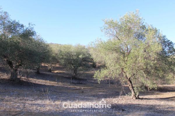 Terreno en Diseminado Poligono 18, 8