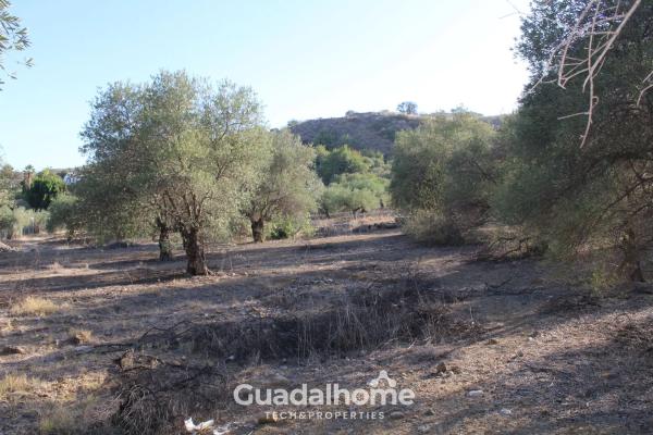 Terreno en Diseminado Poligono 18, 8