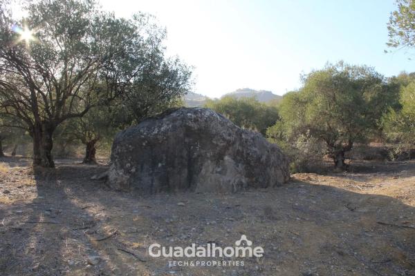 Terreno en Diseminado Poligono 18, 8